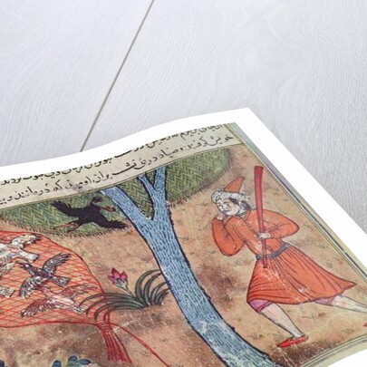 Hunting Birds by Islamic School