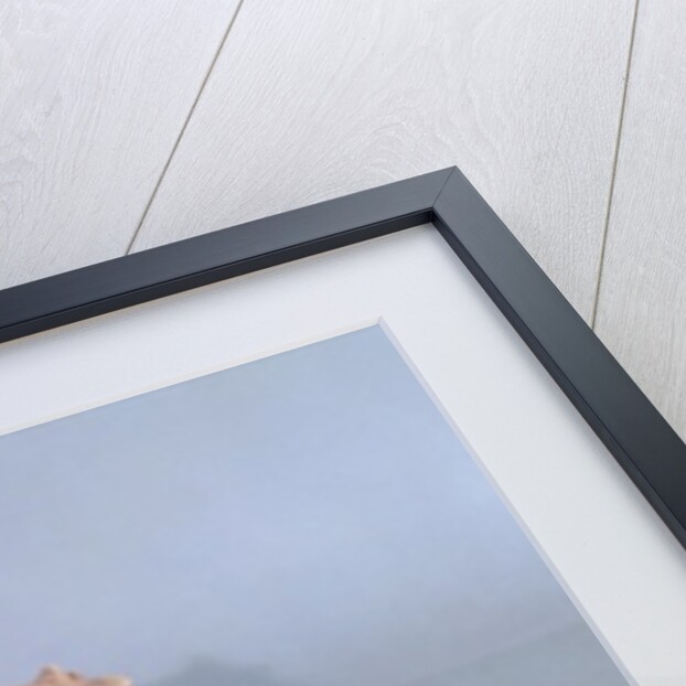 Funerary model of a farm, from Thanh Hoa, Vietnam, Han Dynasty by School Chinese