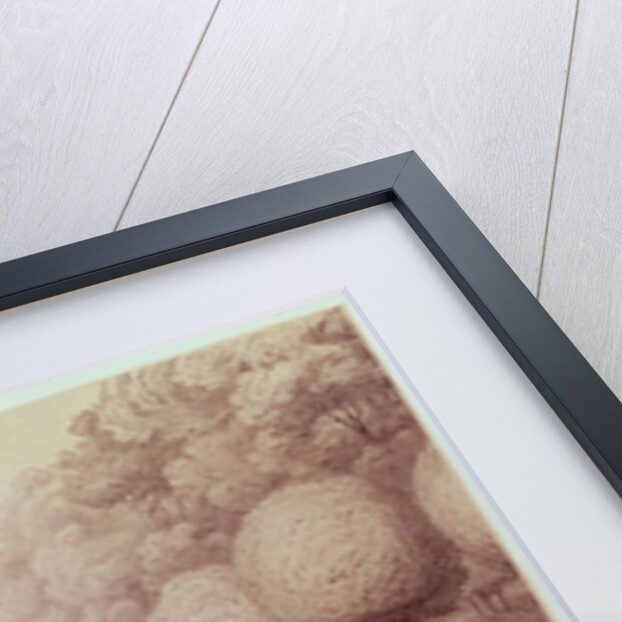 The National Guard from the Eure Camped in the Tuileries Garden, 26th June 1848 by Leon Auguste Asselineau