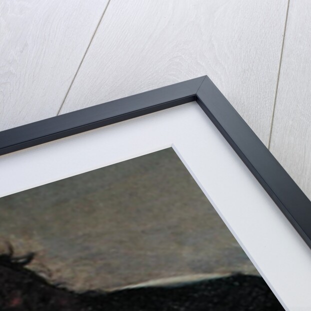 An Old Man, detail of the head, c.1618-19 by Georges de la Tour