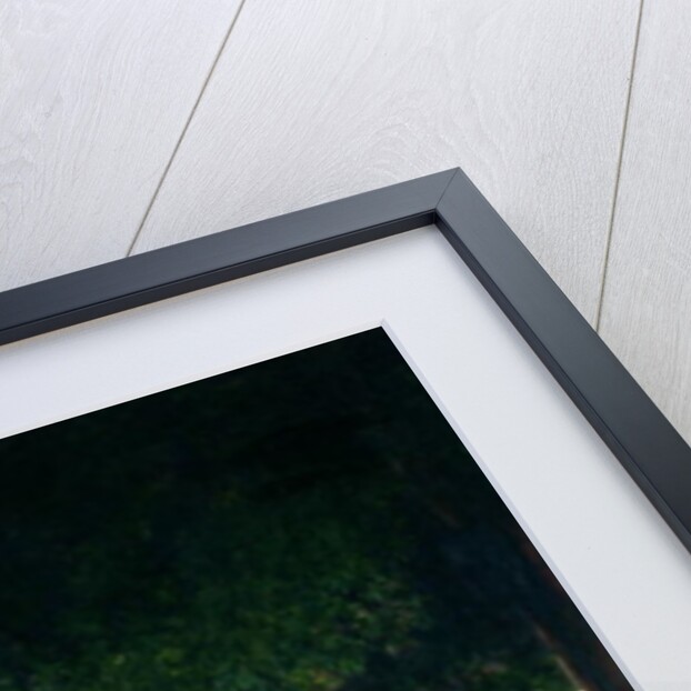 The Gardens of Paris, or The Beauties of the Night, 1905 by Jean Beraud