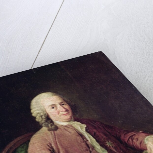 Portrait of Carl von Linnaeus, 18th century by Alexander Roslin