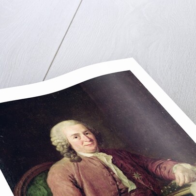 Portrait of Carl von Linnaeus, 18th century by Alexander Roslin