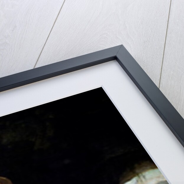 St. Bruno Praying in the Desert, 1763 by Jean Bernard Restout