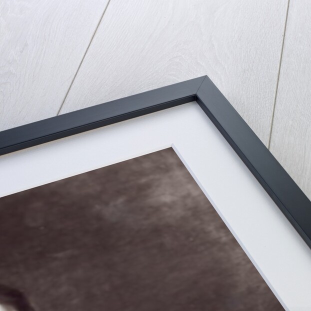 Portrait of Alfred Bruyas by Ferdinand Victor Eugene Delacroix