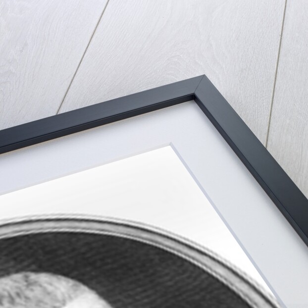 The Fourth Earl of Sandwich by English School