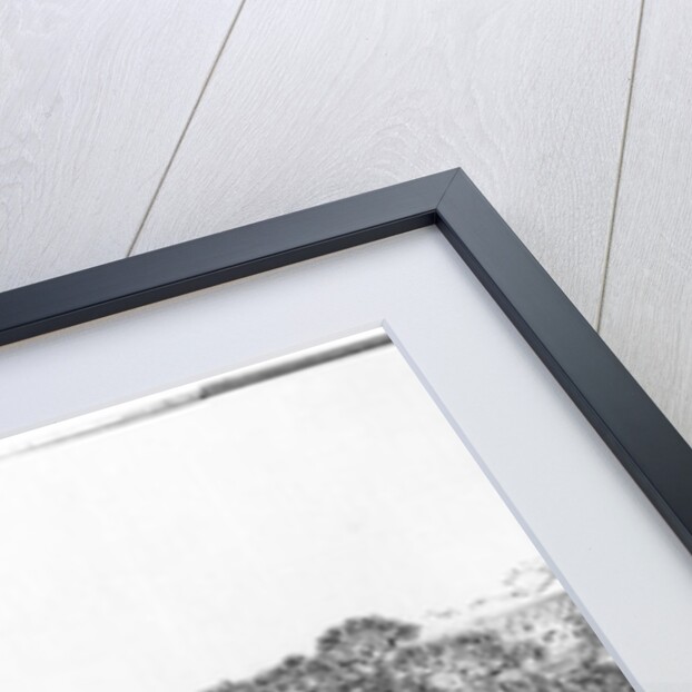 Life of a Mandarin by School Chinese