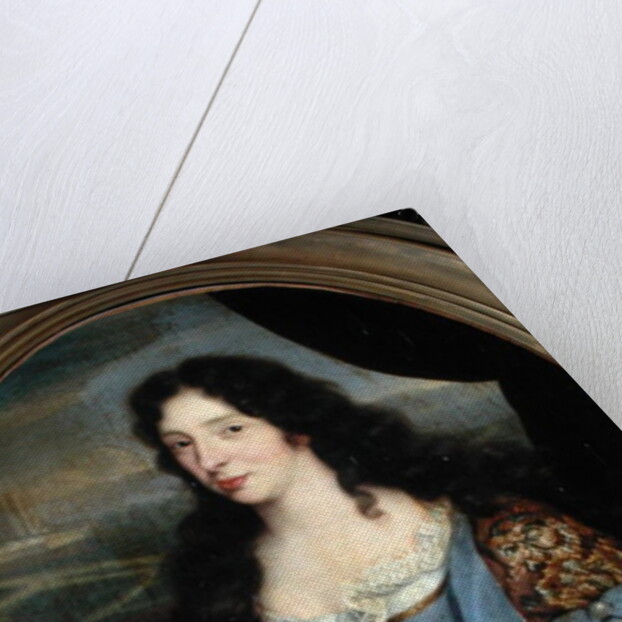 Portrait of an Unknown Learned Woman in Front of the Paris Observatory by French School