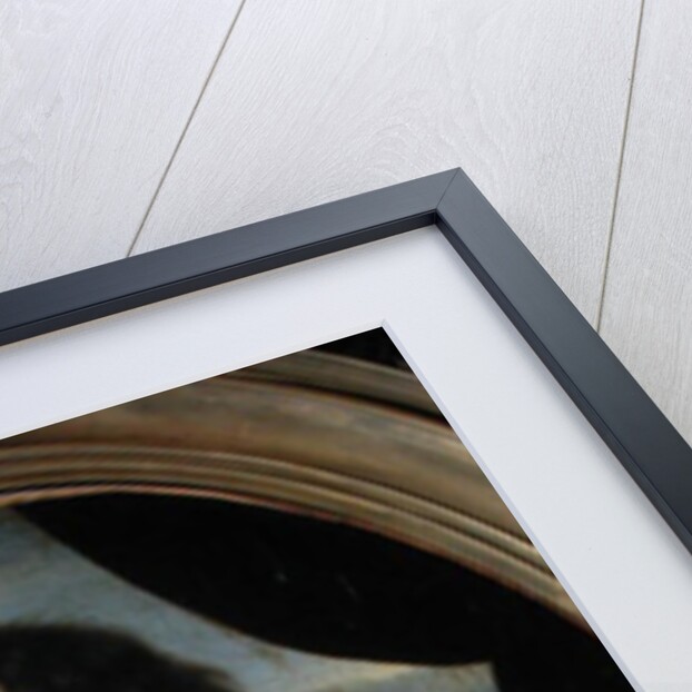 Portrait of an Unknown Learned Woman in Front of the Paris Observatory by French School