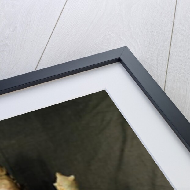 Vishnu, Late Chola by School Indian