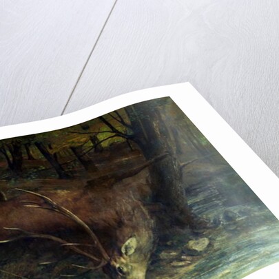 The Death of the Stag, 1859 by Gustave Courbet