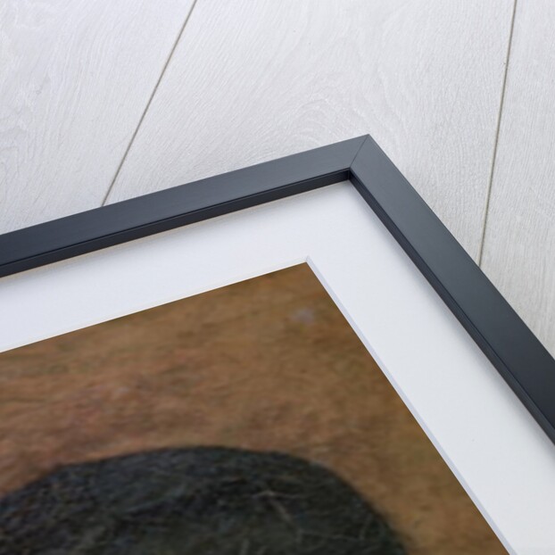 Self Portrait with Striped Collar by Gustave Courbet