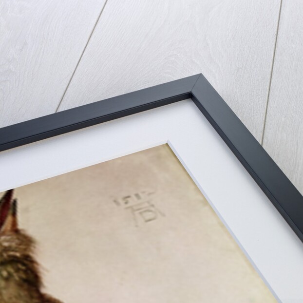 Blue Crow, 1512 by Albrecht Dürer or Duerer