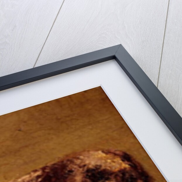 The Donkey by Gustave Courbet