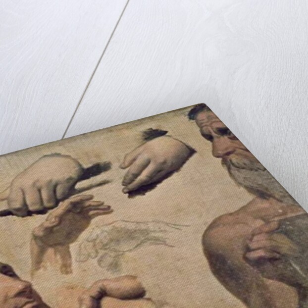 Study of Heads and Hands for the Apotheosis of Homer by Jean Auguste Dominique Ingres