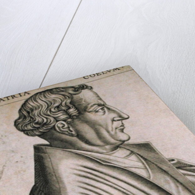 Martin Bucer at the age of 53 by Rene Boyvin