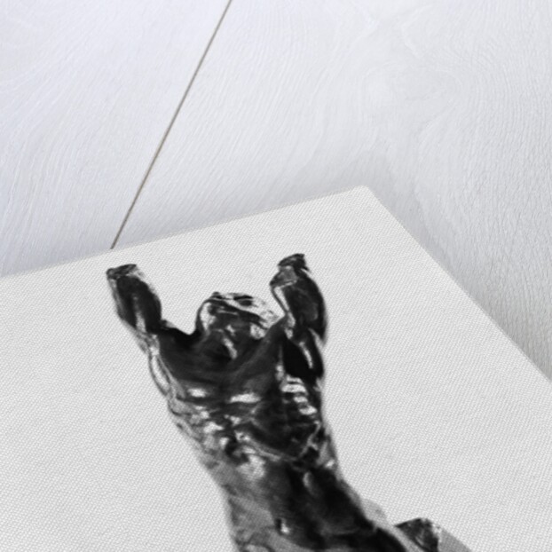 Desperate Adolescent, or Narcissus, 1885-90 by Auguste Rodin