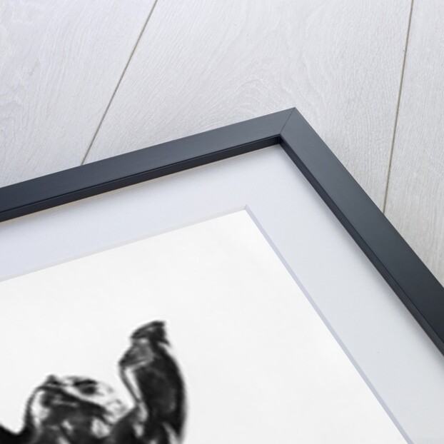 Desperate Adolescent, or Narcissus, 1885-90 by Auguste Rodin