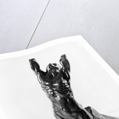 Desperate Adolescent, or Narcissus, 1885-90 by Auguste Rodin