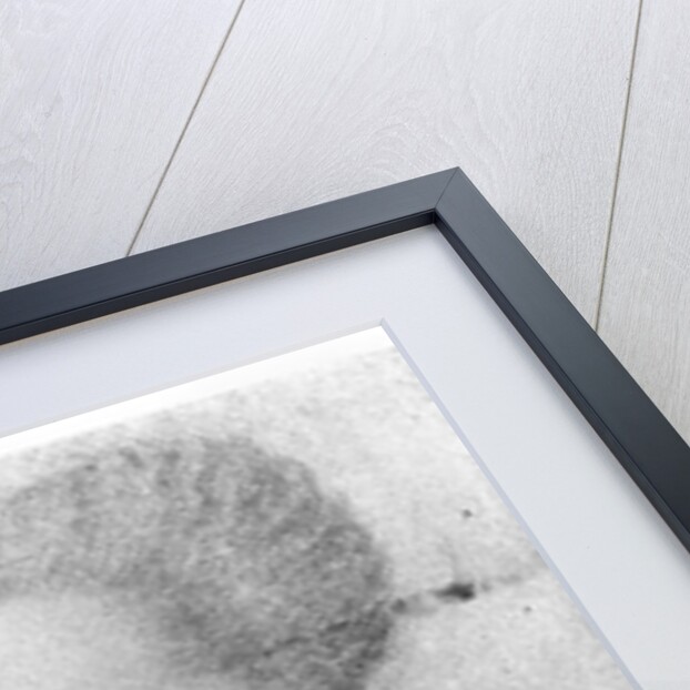 Francoise de Montmorency by Francois (after) Quesnel