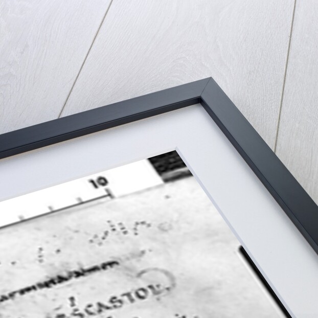 Ms. 17 fol. 289 Introit for the feast of St. Castor by French School