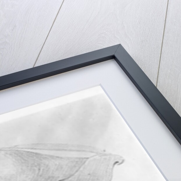 Charles de Bourbon 16th century by Jean Clouet