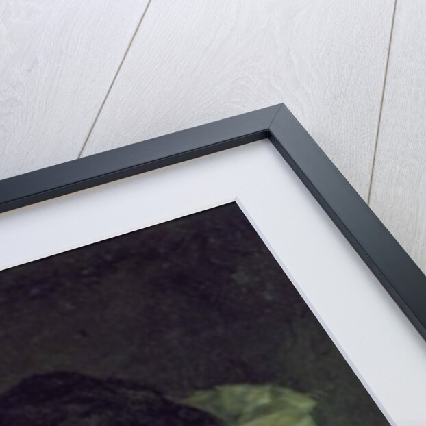 Reflection, c.1864-66 by Gustave Courbet