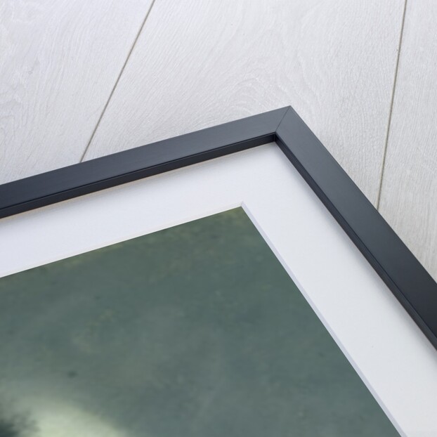 Woman with a Crescent Moon or, The Eclipse, 1888 by Paul Albert Besnard