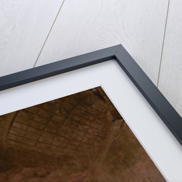 Twelfth Night by Jan Miense Molenaer