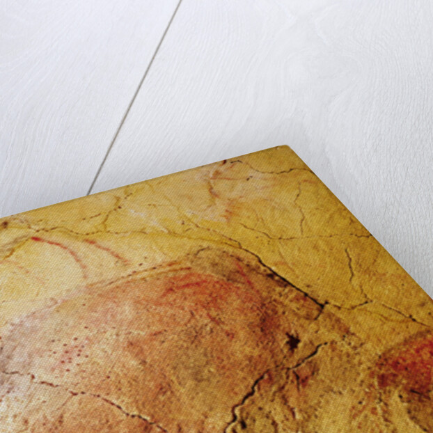 Bison by Prehistoric Prehistoric