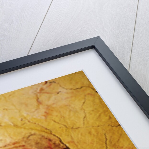 Bison by Prehistoric Prehistoric