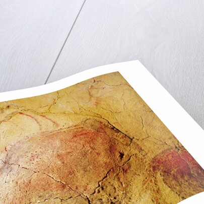 Bison by Prehistoric Prehistoric