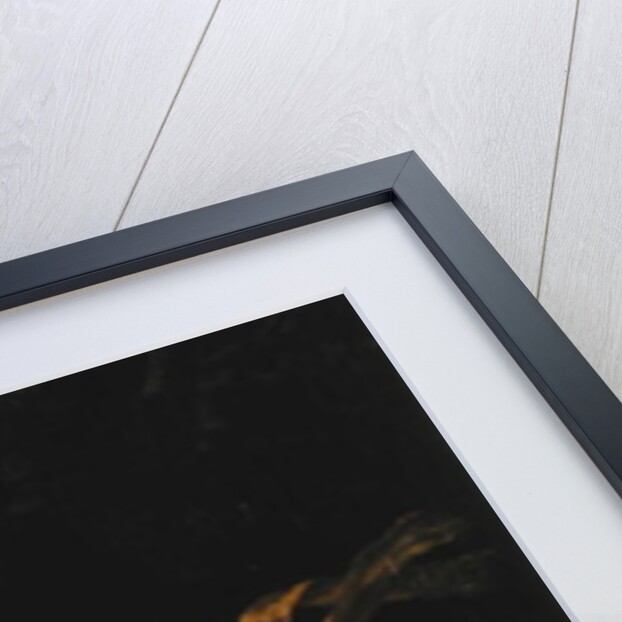 Portrait of Paulin des Hours Farel, 1793 by Baron Antoine Jean Gros