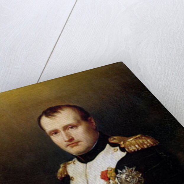 Portrait of Napoleon I 1812 by Charles Auguste Steuben