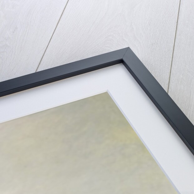 Three Women and a Young Girl Playing in the Water, 1907 by Felix Edouard Vallotton