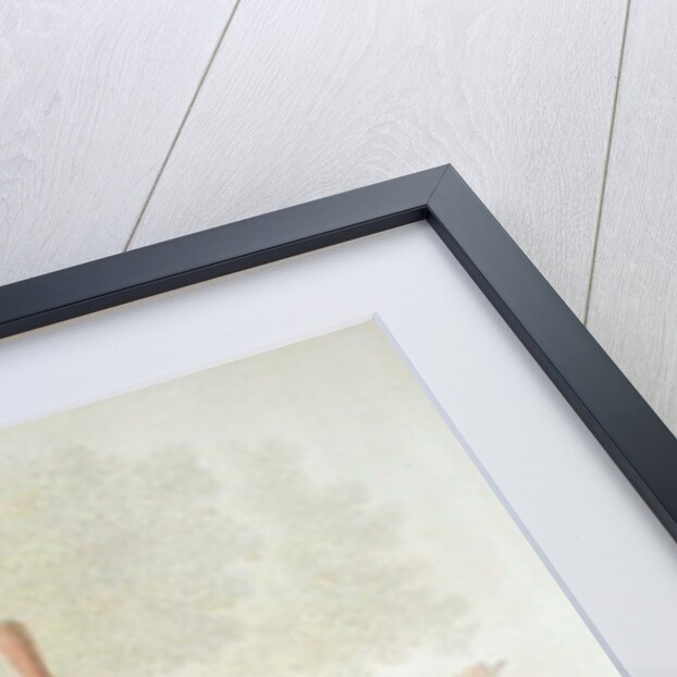 The Boulevard du Temple by Georg Emanuel Opitz