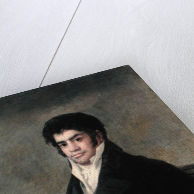 Portrait of Don Francisco del Mazo, c.1815 by Francisco Jose de Goya y Lucientes