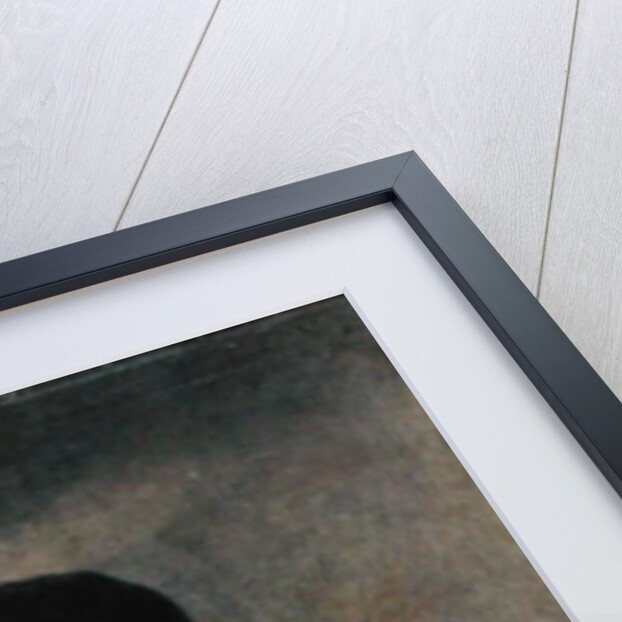 Portrait of Don Francisco del Mazo, c.1815 by Francisco Jose de Goya y Lucientes