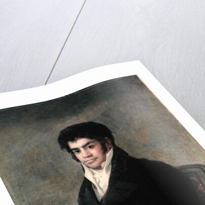 Portrait of Don Francisco del Mazo, c.1815 by Francisco Jose de Goya y Lucientes