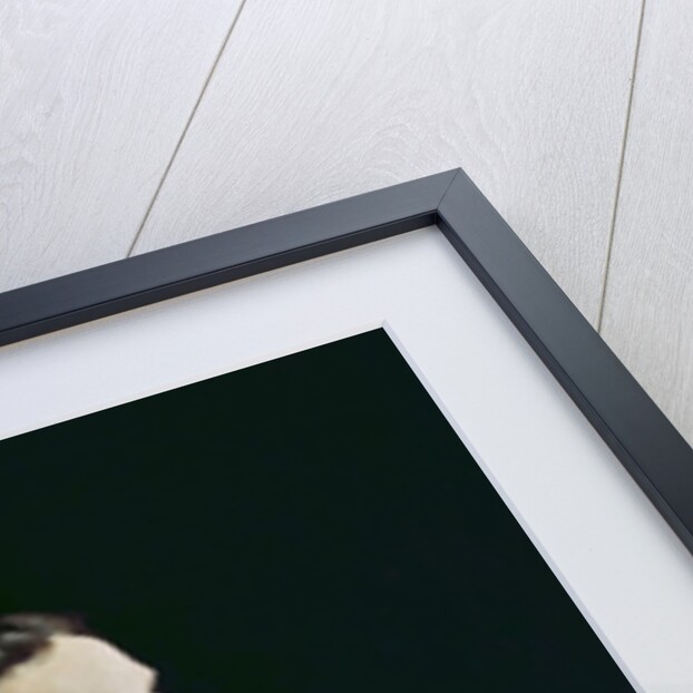 Camille Monet in a Red Cape, 1866 by Claude Monet