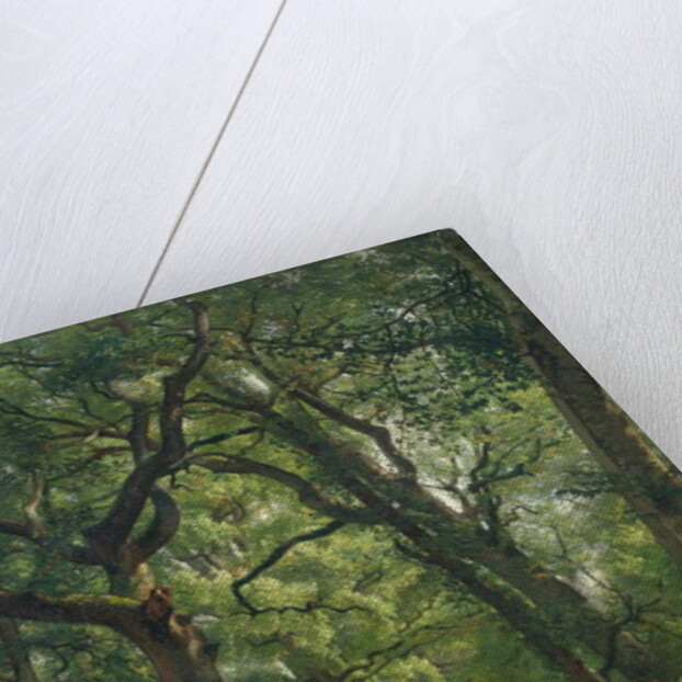 Path in the Forest, 1864 by Henri Joseph Constant Dutilleux