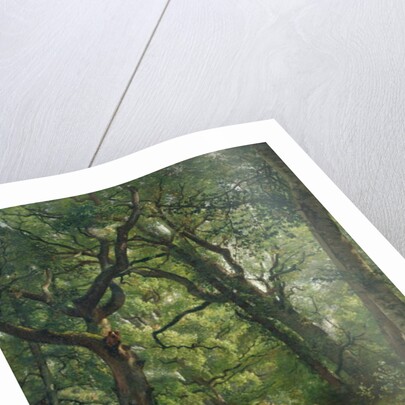 Path in the Forest, 1864 by Henri Joseph Constant Dutilleux