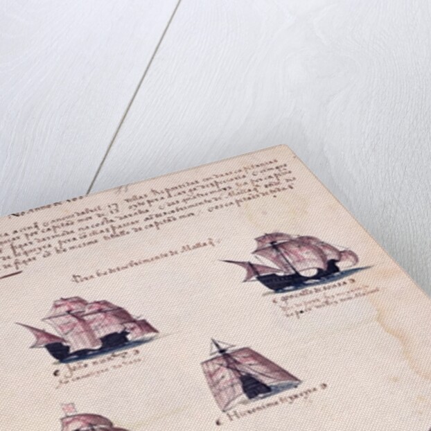 New Expedition to India in 1508 by Portuguese School