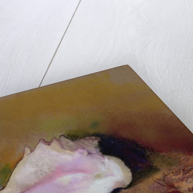 The Shell, 1912 by Odilon Redon