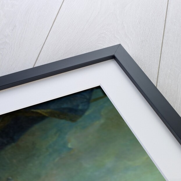 Infanta Isabelle de Bourbon-Parma 1749 by Jean-Marc Nattier