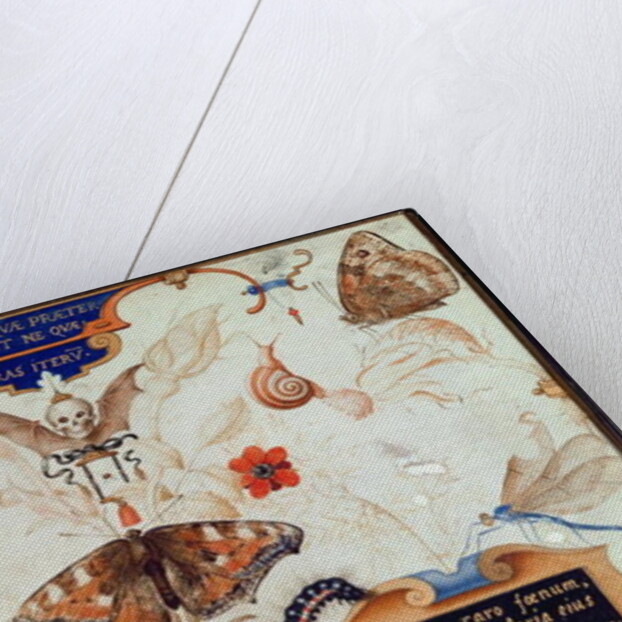 Diptych with flowers and insects, 1591 by Joris Hoefnagel