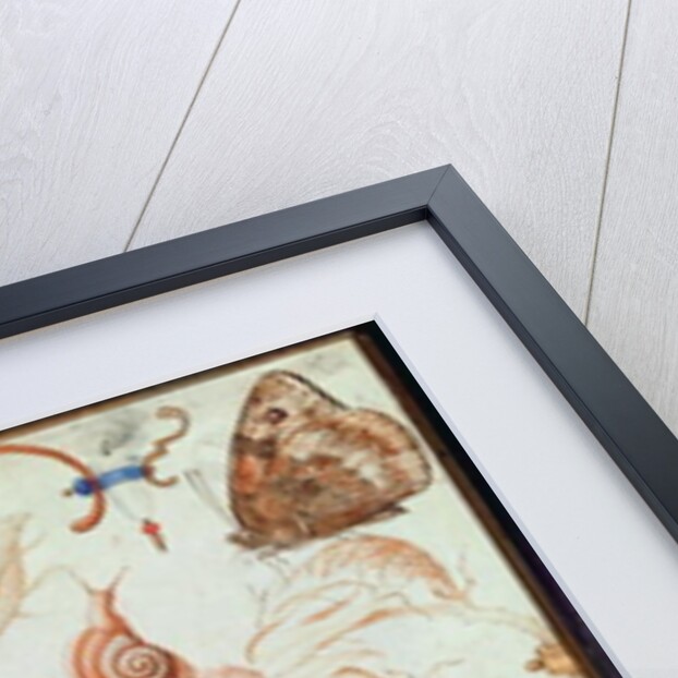 Diptych with flowers and insects, 1591 by Joris Hoefnagel