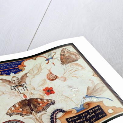 Diptych with flowers and insects, 1591 by Joris Hoefnagel