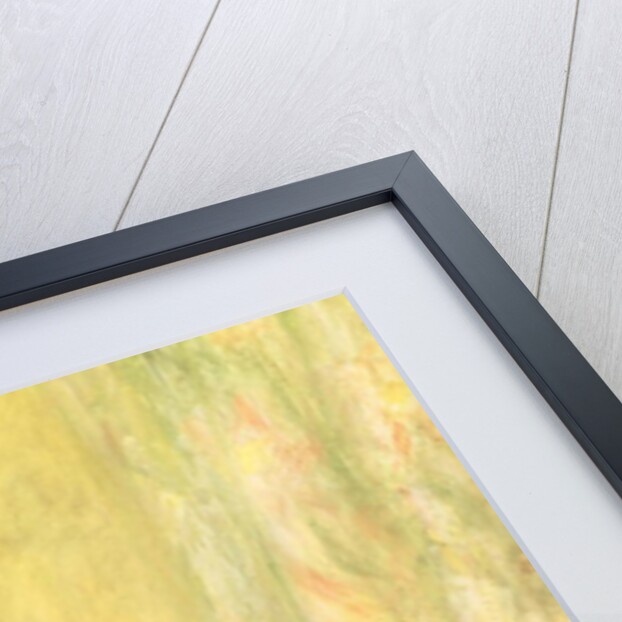 Woman in a Straw Hat, 1879 by Pierre Auguste Renoir