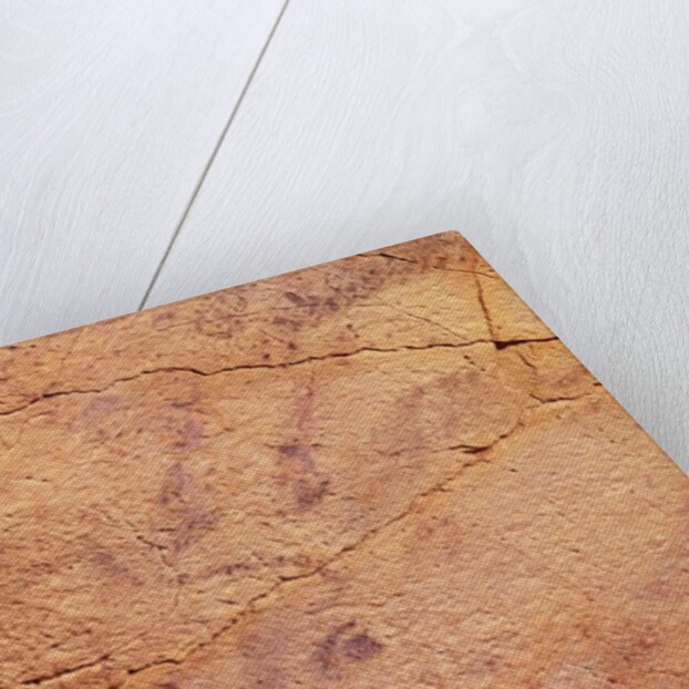 Head of a small stag by Prehistoric Prehistoric